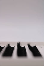 Load image into Gallery viewer, BABY DARK WISP 🍵 10-14mm 65pcs