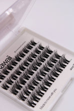 Load image into Gallery viewer, BABY HYBRID 12-16mm 50pcs 🌟