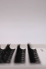 Load image into Gallery viewer, BABY HYBRID 12-16mm 50pcs 🌟