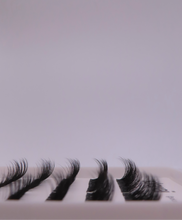 Load image into Gallery viewer, PRE MAPPED ~ Hybrid Fluff Cat eye 50pcs (10mm~16mm) Lashes Only