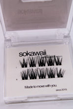 Load image into Gallery viewer, Pocket Mini NEW Pre-Mapped Natural Fluff 🫧(10pcs)