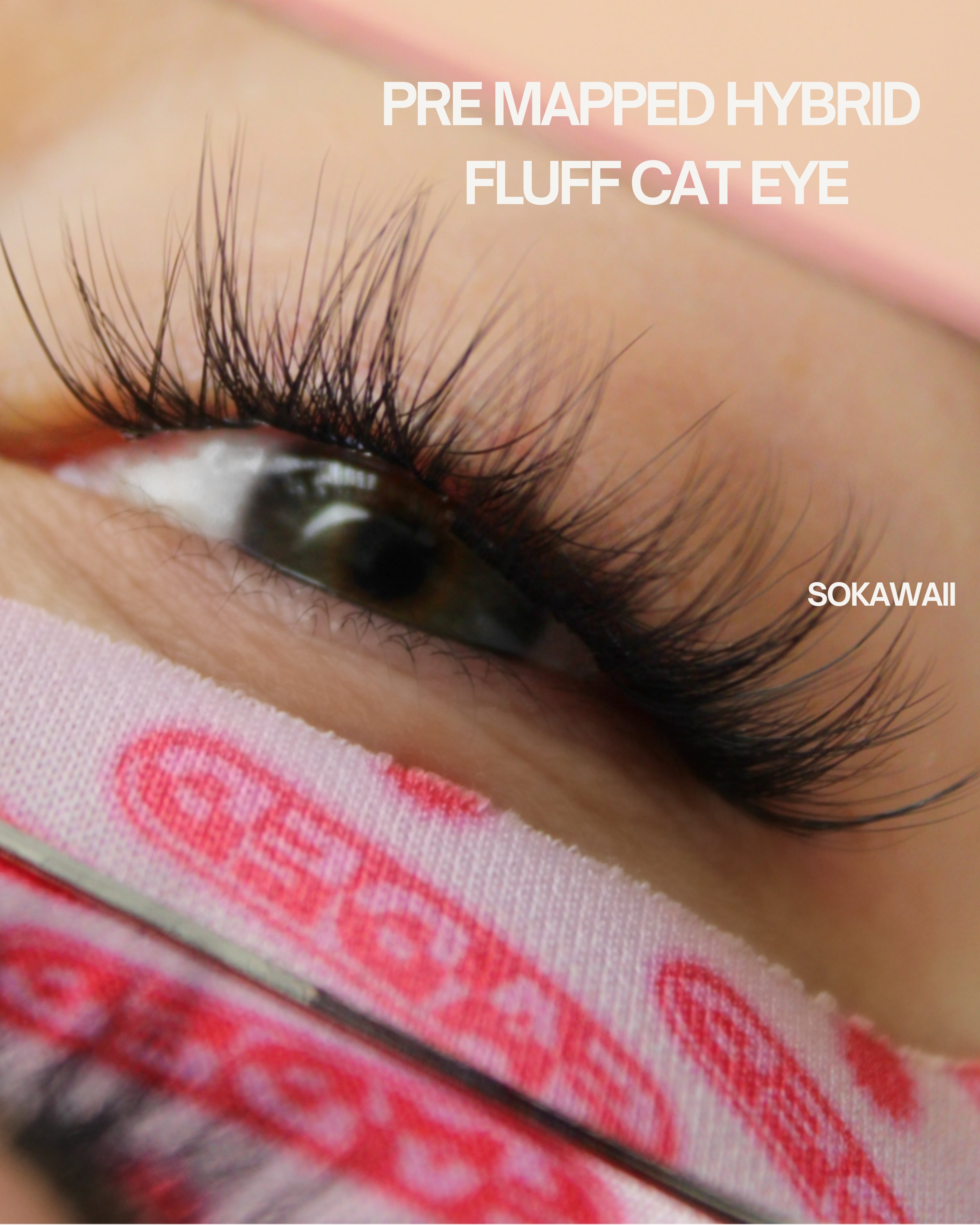 PRE MAPPED ~ Hybrid Fluff Cat eye 50pcs (10mm~15mm) Lashes Only