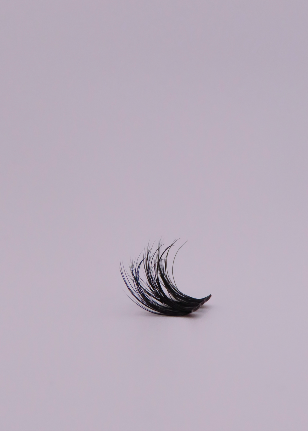 Sokawaii Natural Dark Wispy 🛼 50pcs Lashes Only