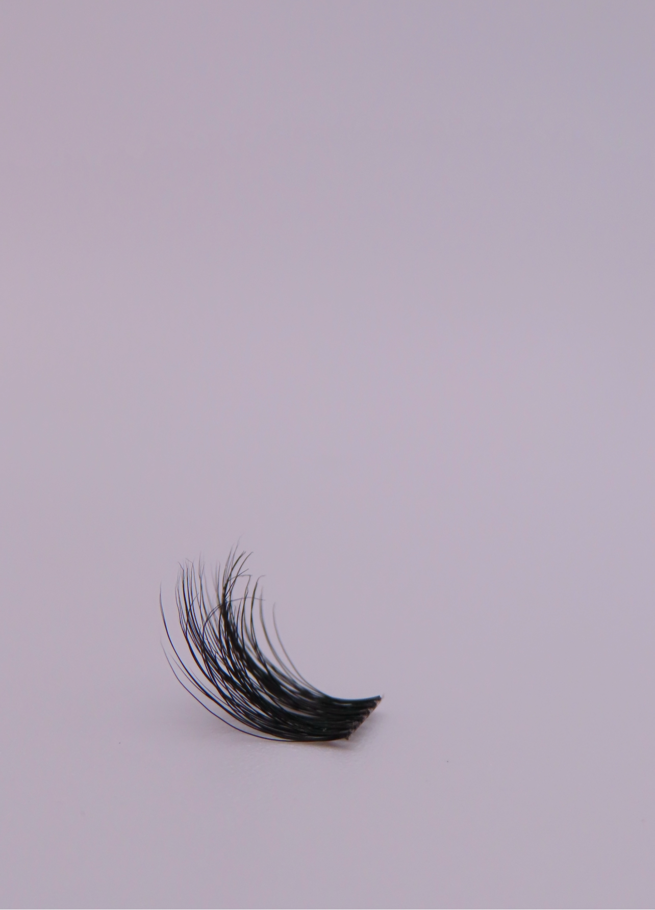 Sokawaii Light Wispy Hybrid 🧚🏼‍♀️ 55pcs Lashes Only