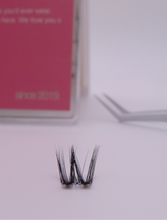 Load image into Gallery viewer, Sokawaii Midnight curl 2.0 💗 50pcs Lashes Only
