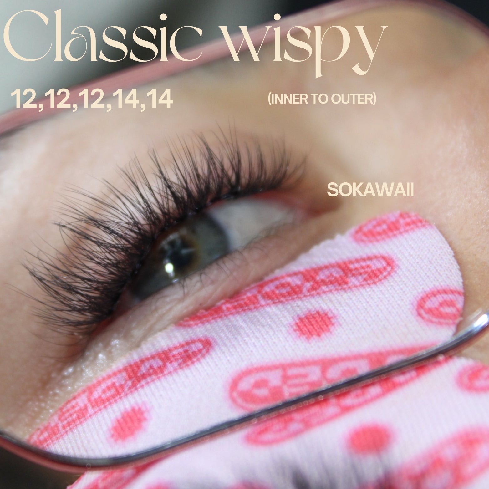 Sokawaii Classic wispy ✨✨✨50pcs Lashes Only