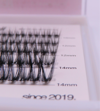 Load image into Gallery viewer, Sokawaii Midnight curl 2.0 💗 50pcs Lashes Only
