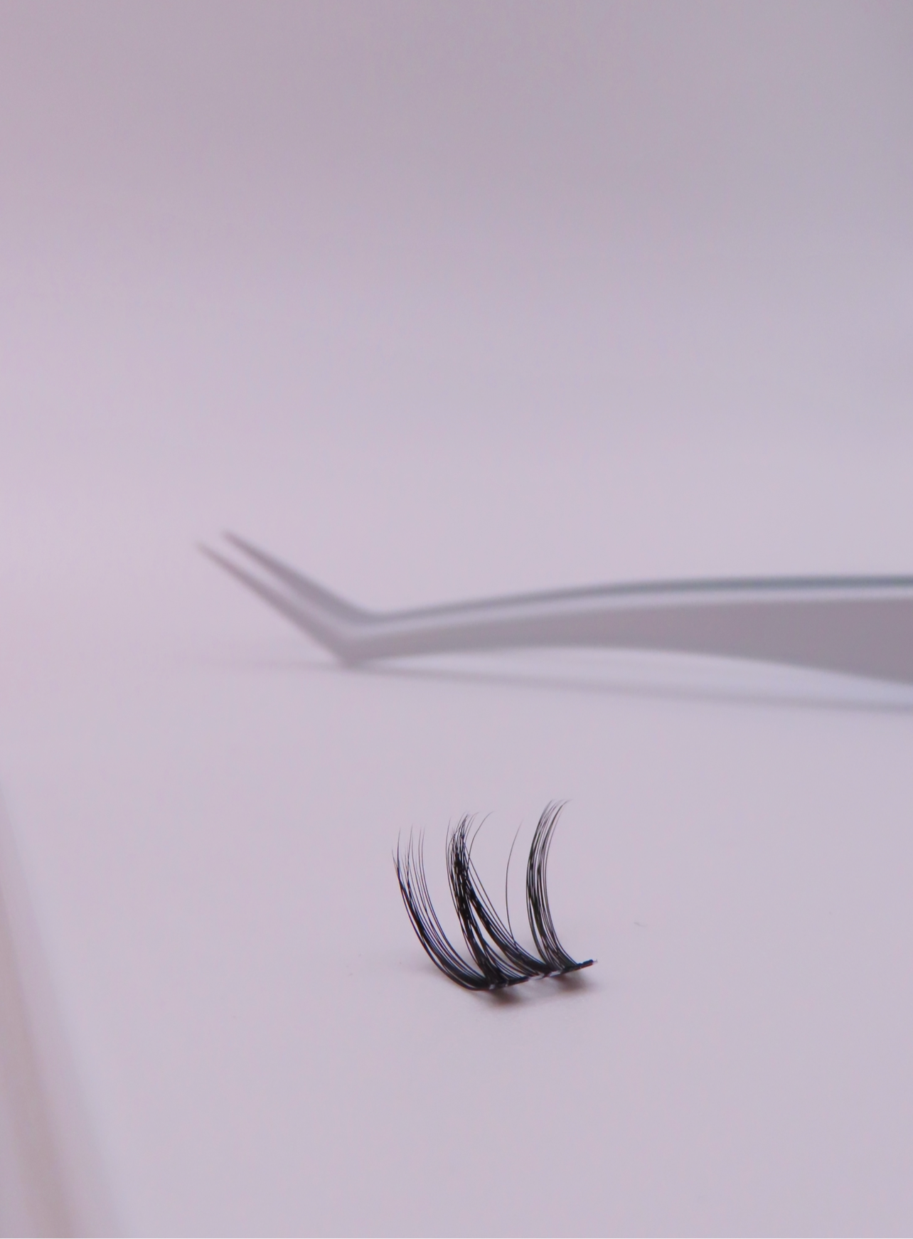 Sokawaii Midnight curl 2.0 💗 50pcs Lashes Only