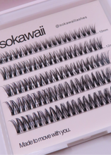 Load image into Gallery viewer, Sokawaii Midnight curl 2.0 💗 50pcs Lashes Only
