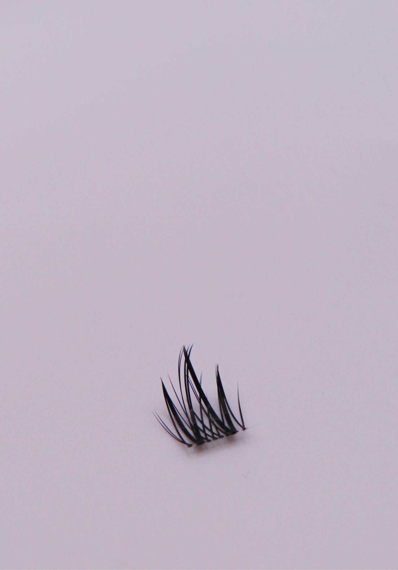 Sokawaii Anime 🫧 45pcs Lashes Only