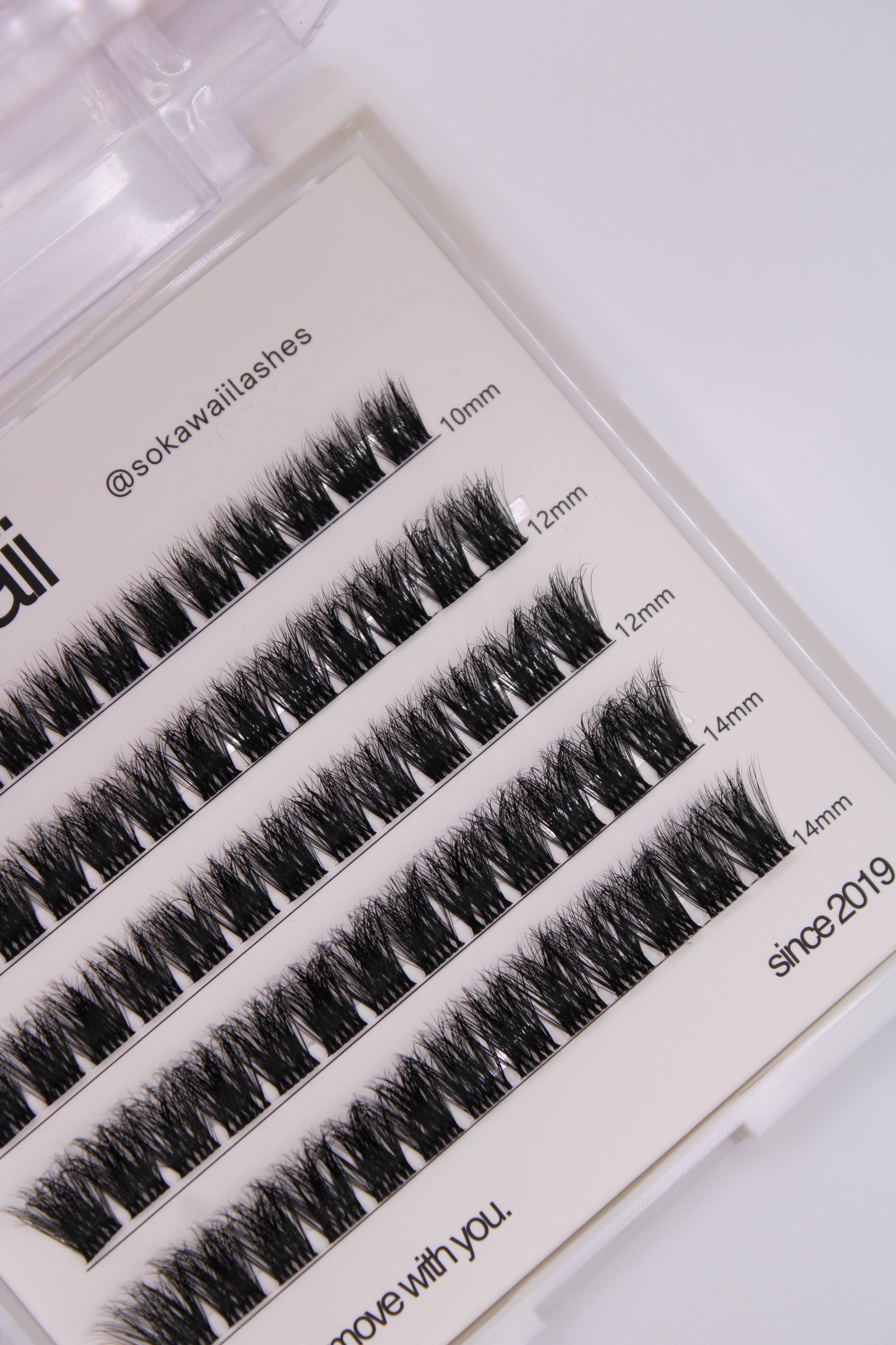 BABY DARK WISP 🍵 10-14mm 65pcs