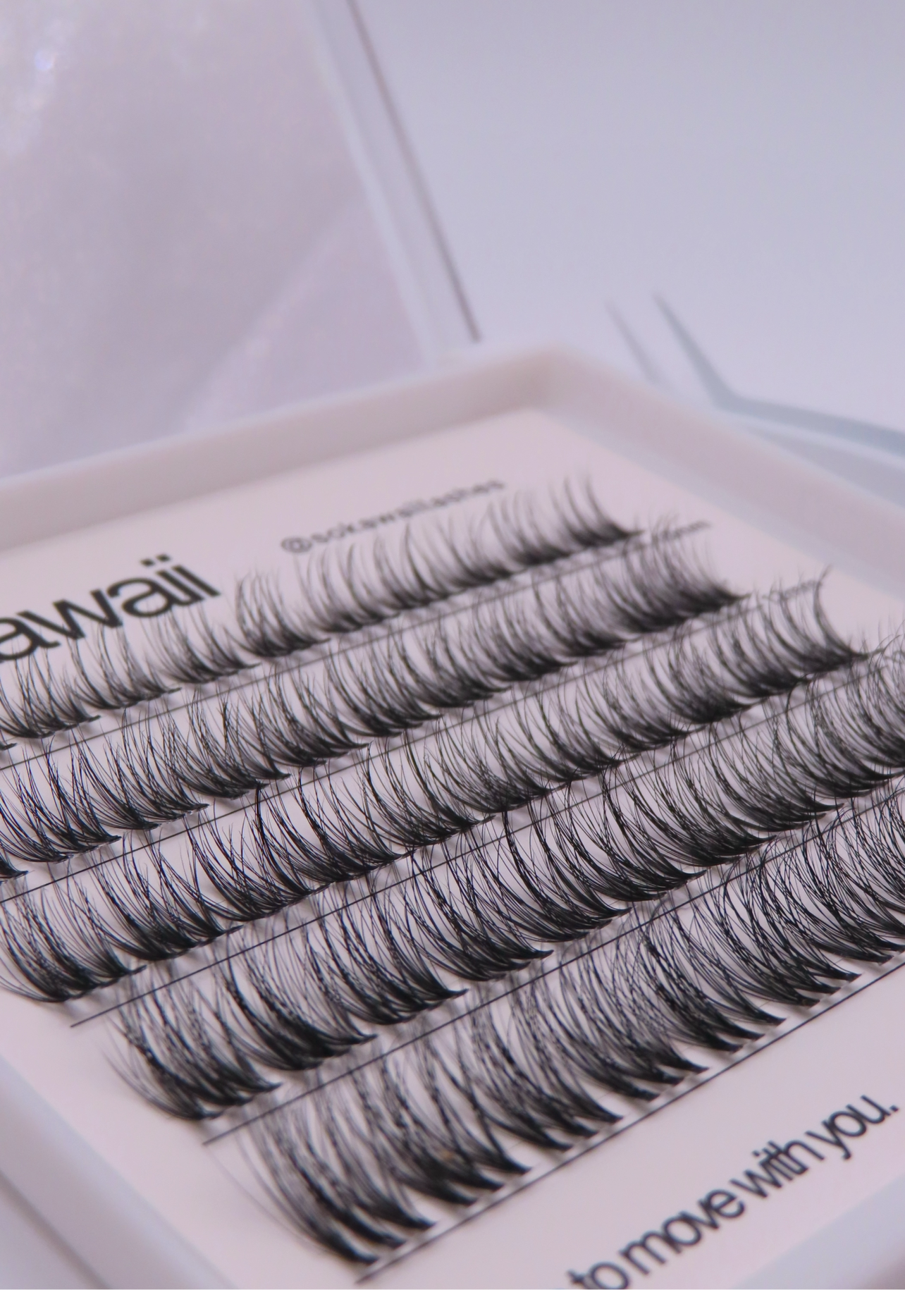Sokawaii Classic wispy ✨✨✨50pcs Lashes Only
