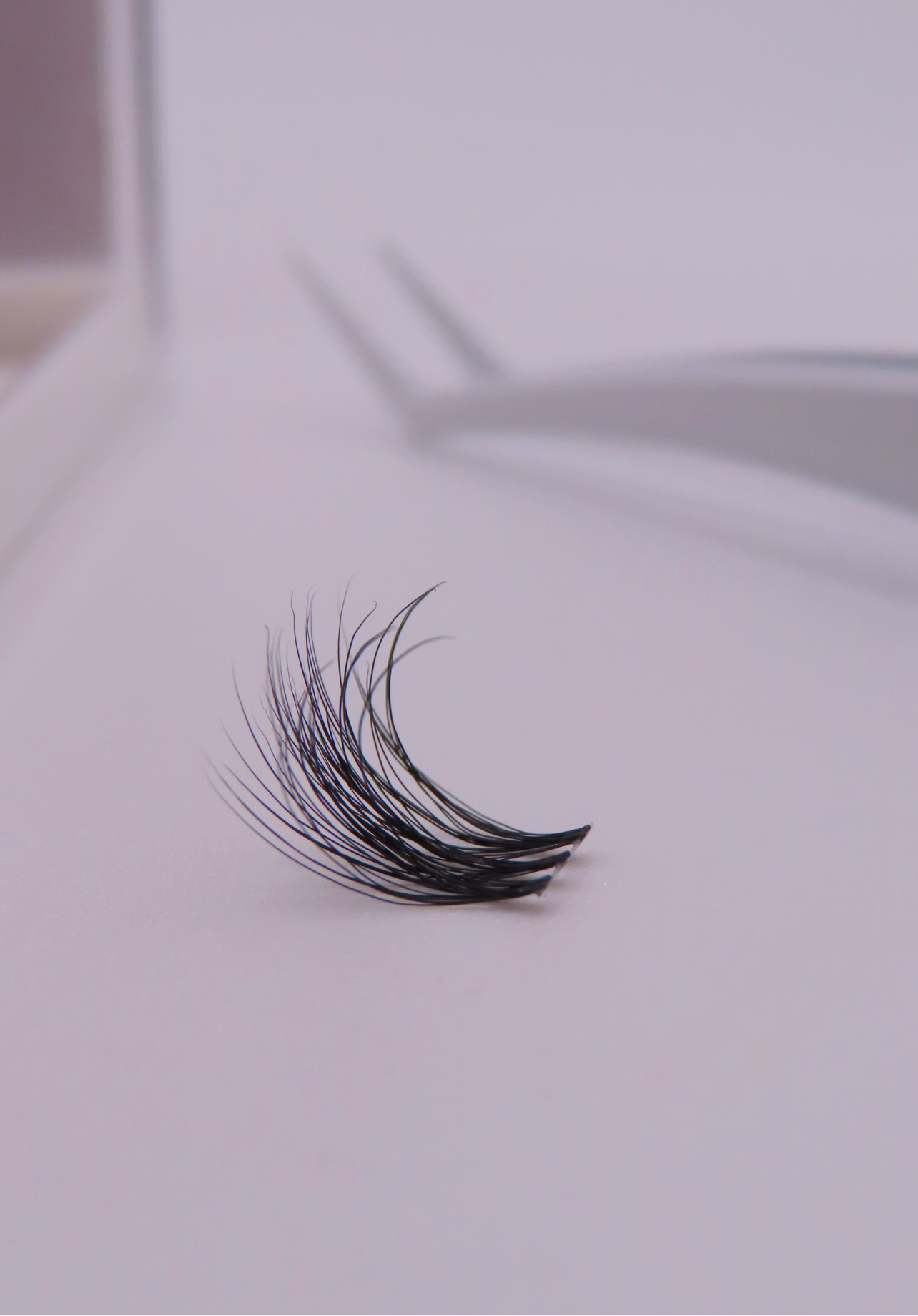 Sokawaii Classic wispy ✨✨✨50pcs Lashes Only