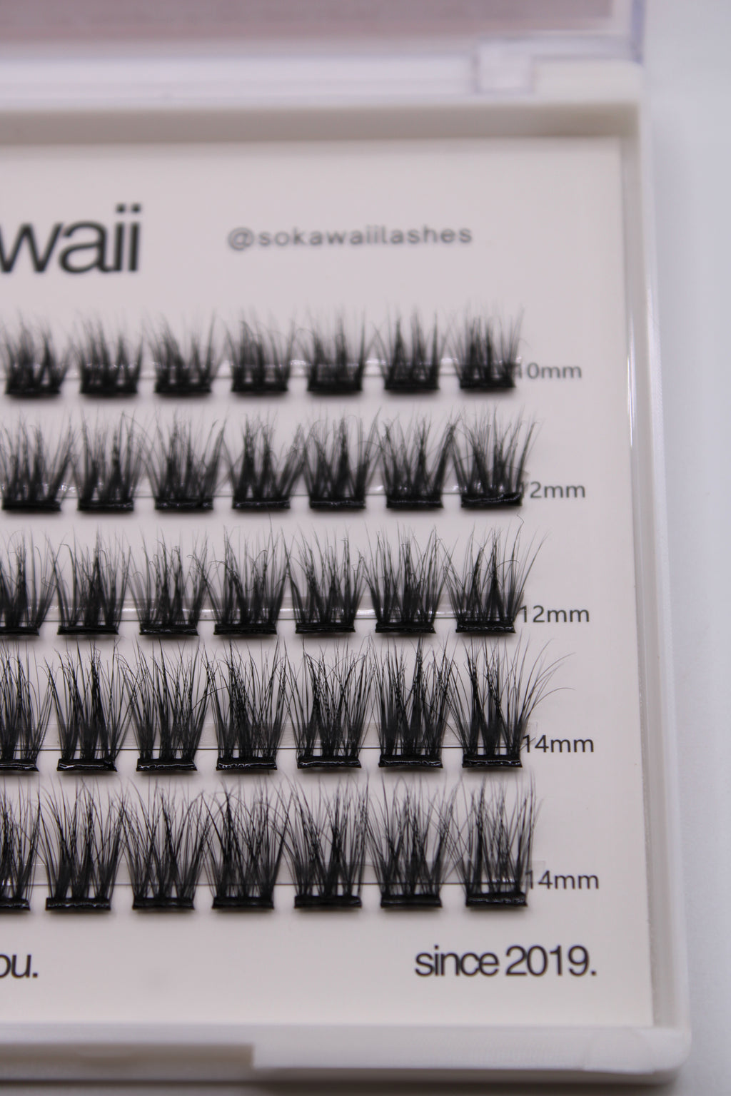 PRE GLUED 🌙 Midnight Classic Wisp (stick and go) 55PCS Lashes Only