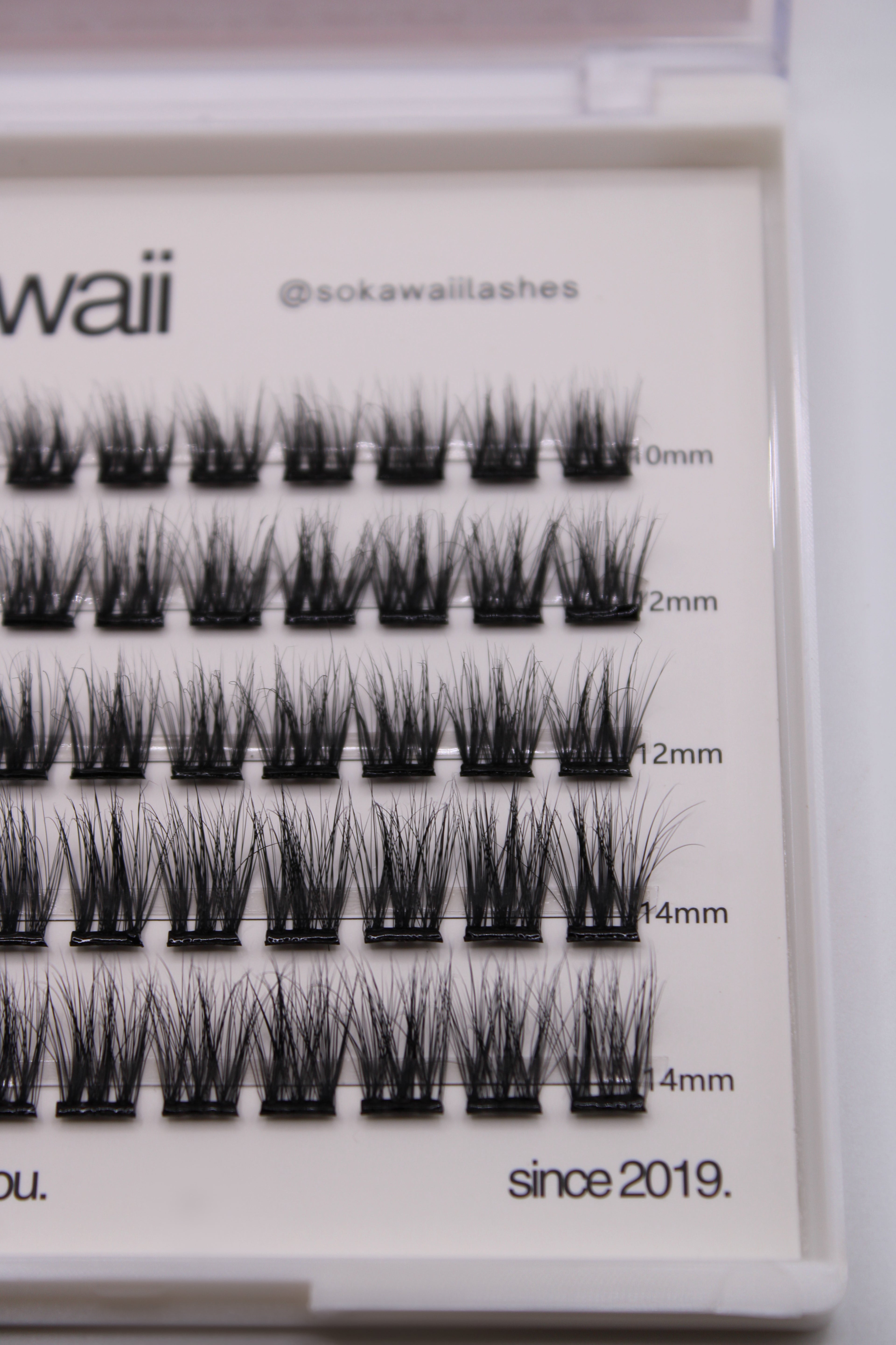 PRE GLUED 🌙 Midnight Classic Wisp (stick and go) 55PCS Lashes Only