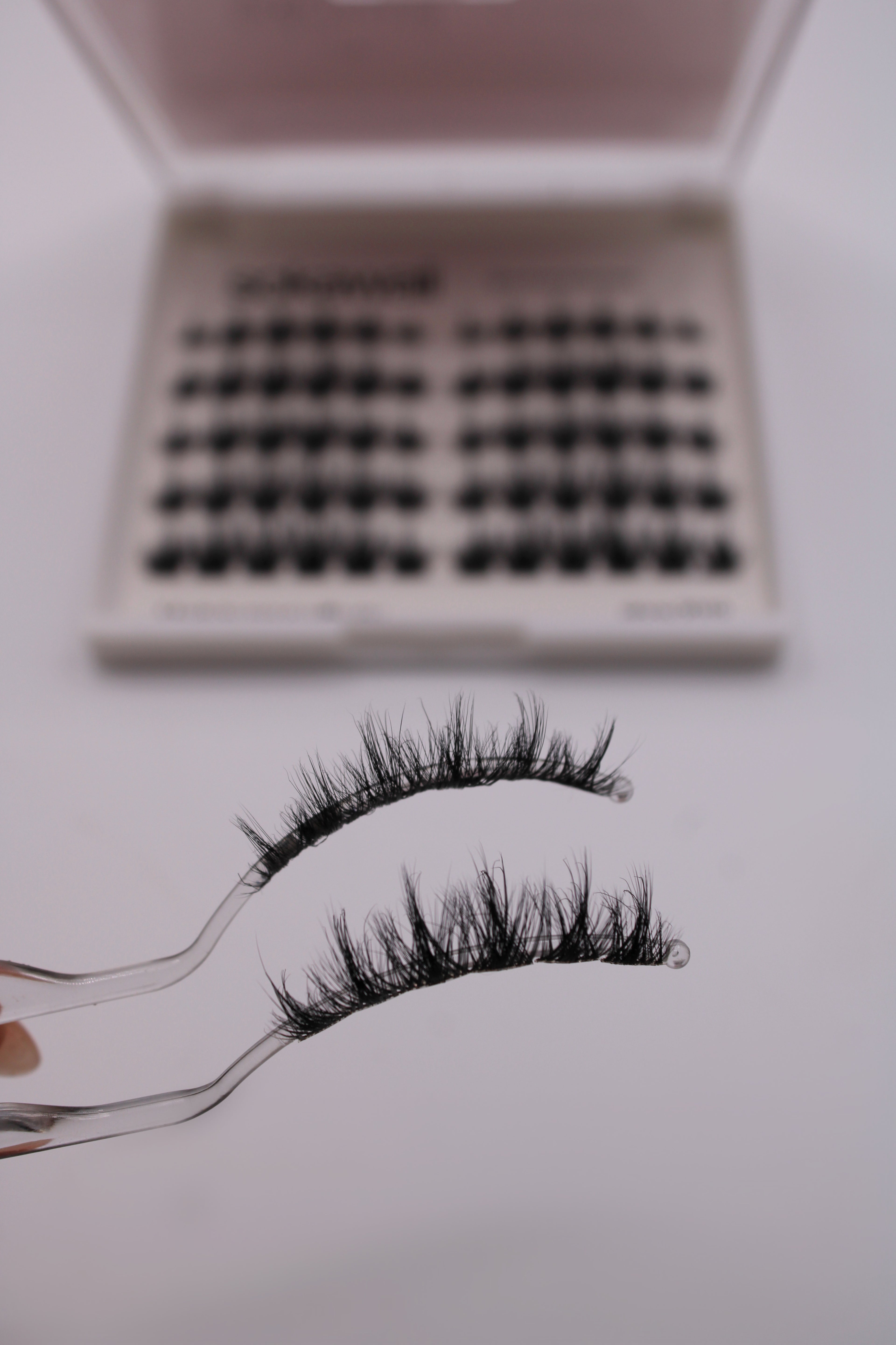 Pre Mapped Midnight Dream 🌙 60pcs Lashes Only