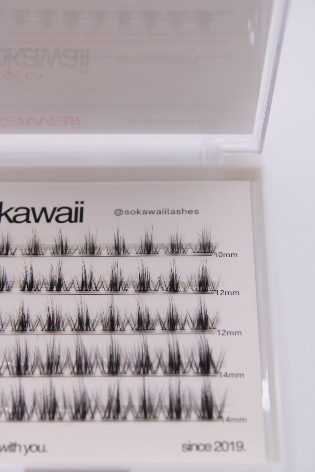 Natural Dream 🍊💭 50 pcs Lashes only