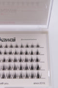 Natural Dream 🍊💭 50 pcs Lashes only