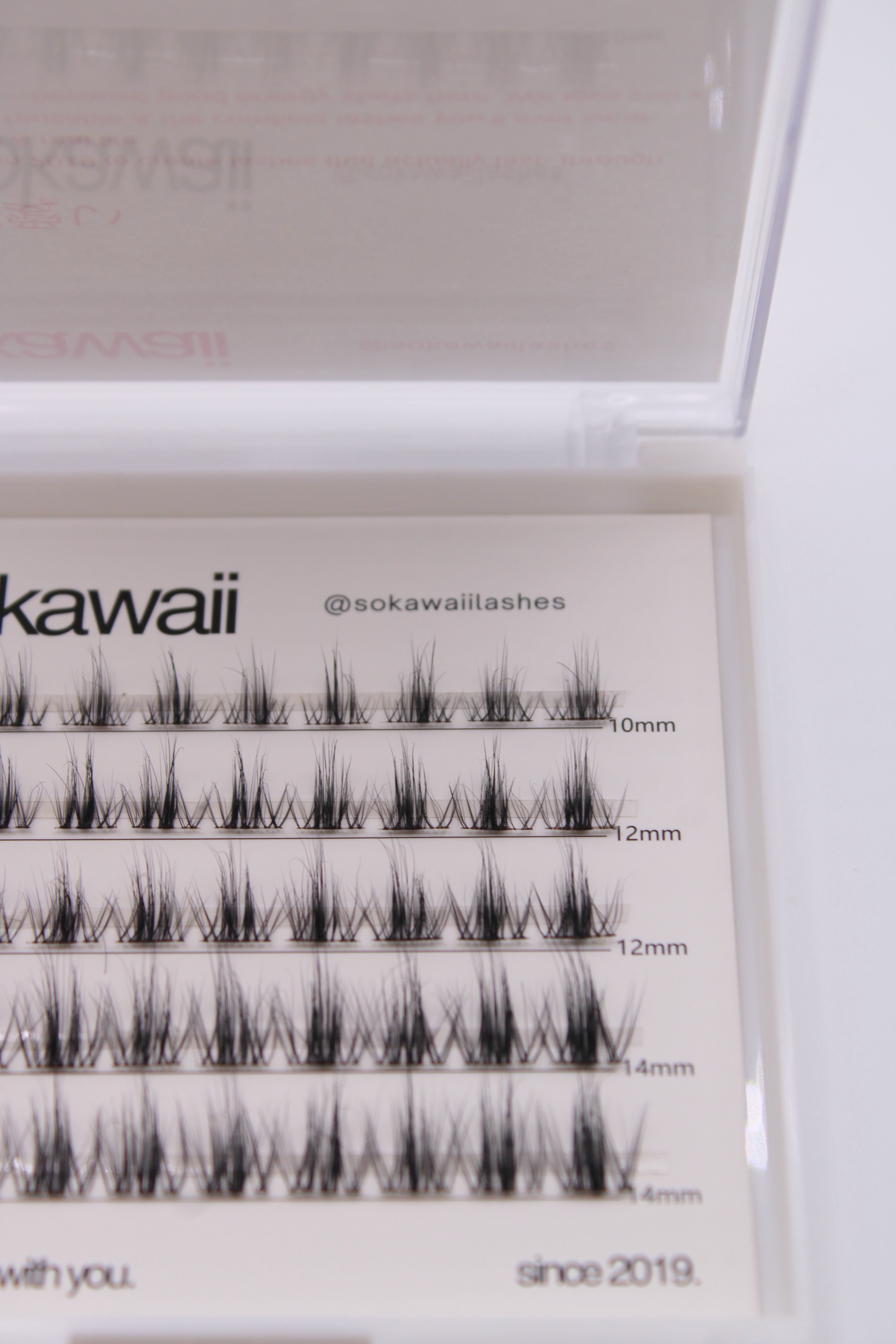 Natural Dream 🍊💭 50 pcs Lashes only