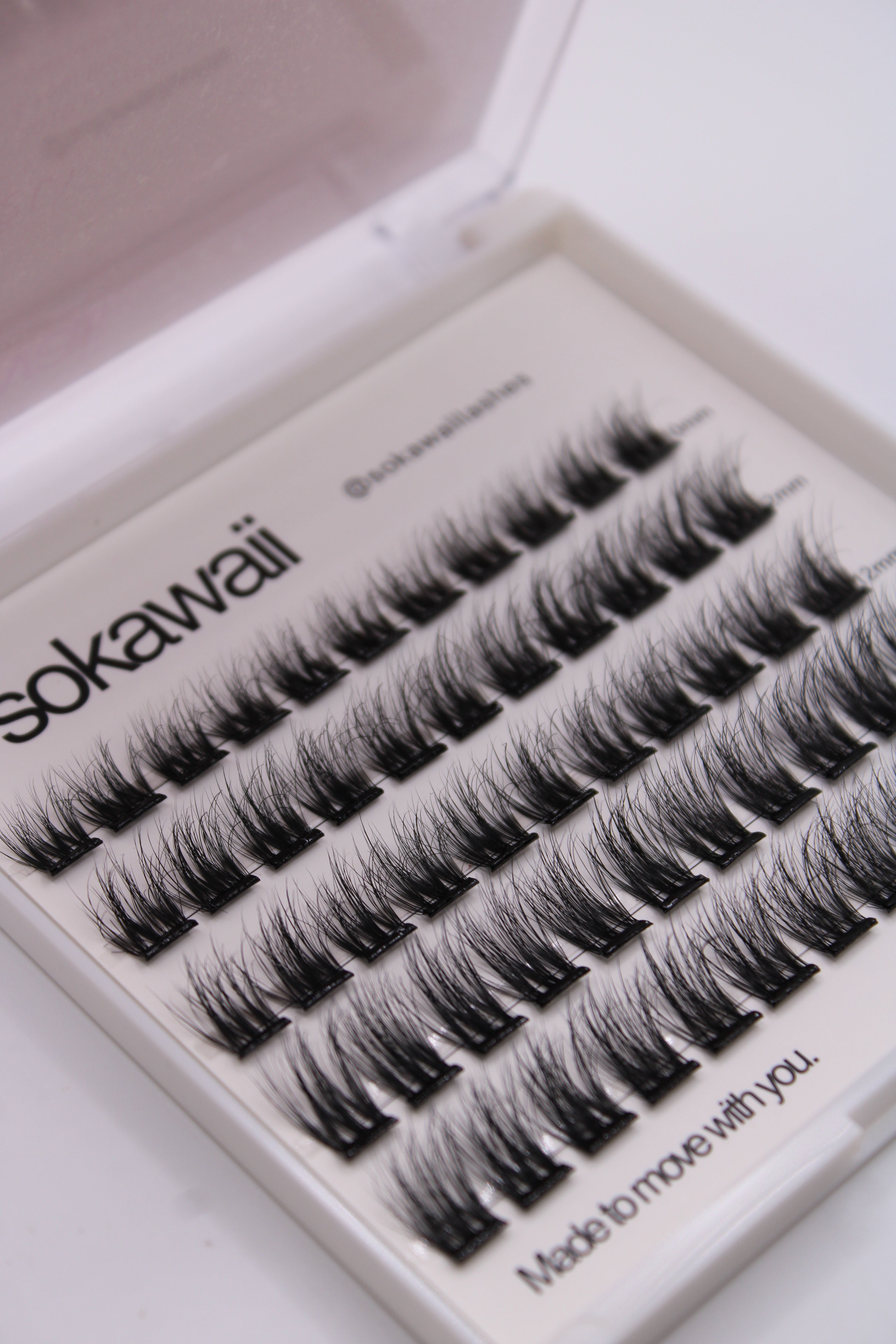 PRE GLUED 🌙 Midnight Classic Wisp (stick and go) 55PCS Lashes Only