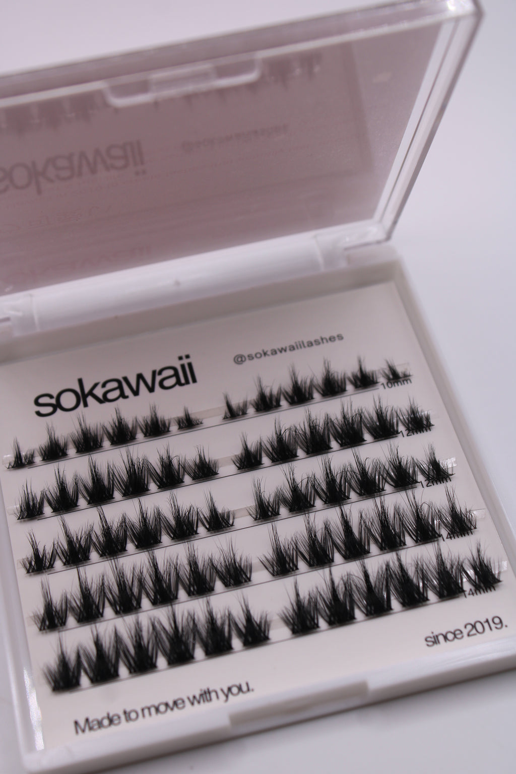 Pre Mapped Midnight Dream 🌙 60pcs Lashes Only