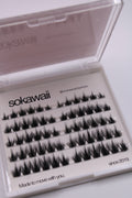 Pre Mapped Midnight Dream 🌙 60pcs Lashes Only